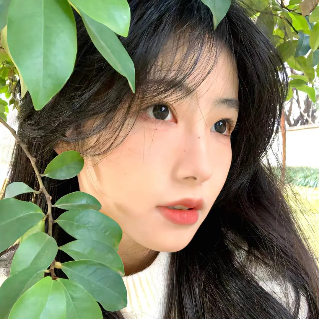 鳄鱼虱乸